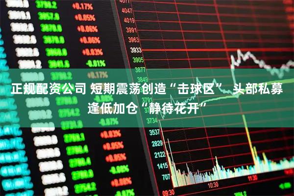 正规配资公司 短期震荡创造“击球区”  头部私募逢低加仓“静待花开”